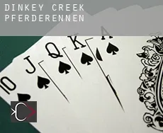 Dinkey Creek  Pferderennen