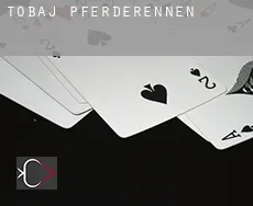 Tobaj Pferderennen
