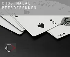 Chos Malal Pferderennen