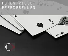 Forestville Pferderennen