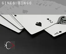 Ginés  Bingo