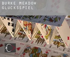 Burke Meadow Glücksspiel