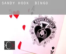Sandy Hook Bingo
